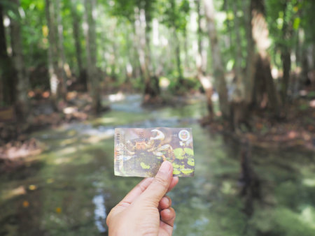 KRABI, THAILAND- APRIL 21, 2022: Tourist hand hold the entrance ticket fee with crab picture for...