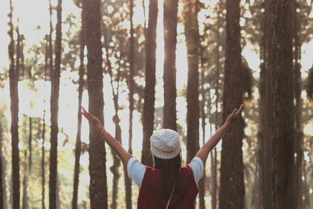 Back view happy woman backpacker raise arms into the air in the pine trees  forest at sunset.の写真素材