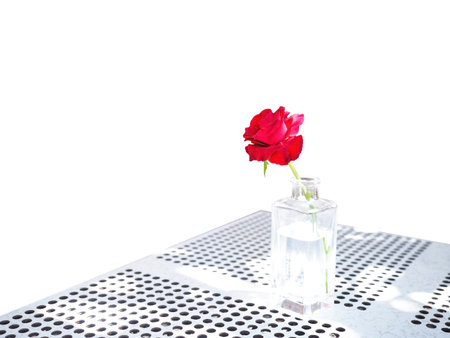 Close up transparent glass of red rose flower bouquet on metal table isolated on white background.の写真素材