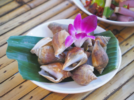 Close up boiled Babylonia areolata on white plate. Seafood steamed local food.の写真素材