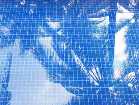 Reflection of coconut leaves trees in swimming pool with blue mosaic tiles.の写真素材