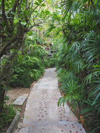 Concrete path way in the park. Tropical springtime garden decoration.の写真素材