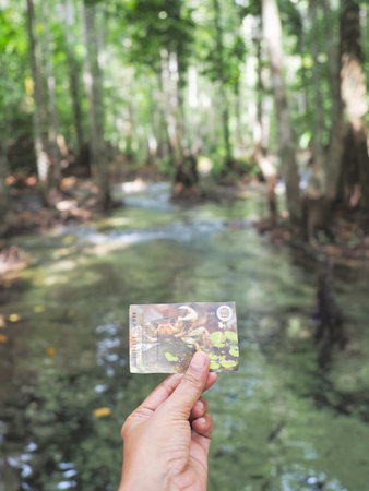 KRABI, THAILAND- APRIL 21, 2022: Tourist hand hold the entrance ticket fee with crab picture for personal to The Emerald Pool at Krabi province, Thailand.のeditorial素材