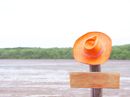 Vintage straw hat and blank brown wooden board hanging on wood post over mangrove forest at low tide background. Conservative environmental concept.の写真素材