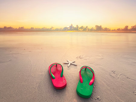 Close up green and red sandals on summer beach background at sunset.の写真素材