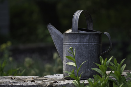 Weathered metal watering can on a stone garden wallの写真素材