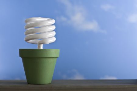 A single, energy-efficient compact fluorescent light bulb in a green painted clay pot.