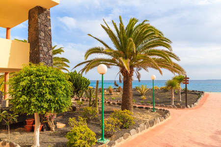 Tropical plants on walking alley to coastal promenade in Playa Blanca, Lanzarote, Canary Islands, Spainの写真素材