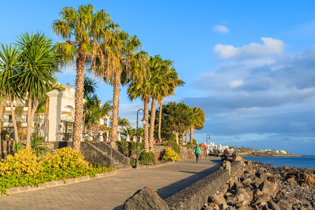 Palm trees on coast of Lanzarote island in Playa Blanca holiday village, Canary Islands, Spainの写真素材