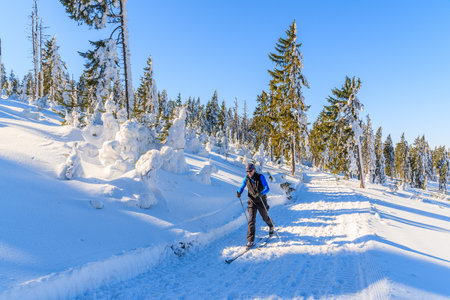 GORCE MOUNTAINS, POLAND - FEB 14, 2015: cross-country skier on trail in winter landscape of Gorce Mountains. Skiing is healthy aのeditorial素材