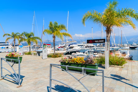 CALVI, CORSICA ISLAND - JUN 28, 2015: palm trees on promenade in Calvi port. This town has luxurious marina and is a very populaのeditorial素材