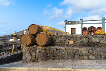 LA GERIA WINERY, LANZAROTE ISLAND - JAN 14, 2015: Wine oak barrels on terrace of winery in La Geria region of Lanzarote island.のeditorial素材