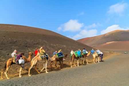 TIMANFAYA NATIONAL PARK, LANZAROTE ISLAND - JAN 14, 2015: Caravan of camels with tourists in Timanfaya National Park. Camel trek is popular attraction on Lanzarote island.のeditorial素材