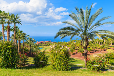 TENERIFE, CANARY ISLANDS - NOV 17, 2015: tropical gardens of a luxury Abama Hotel which is located on a golf course on Tenerife,のeditorial素材