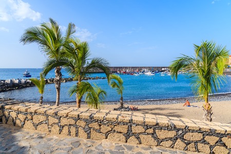 Palm trees on a beach in San Juan port on Tenerife island, Spainの写真素材