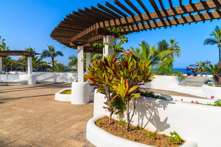 Tropical gardens in Puerto de la Cruz town, Tenerife, Canary Islands, Spainのeditorial素材