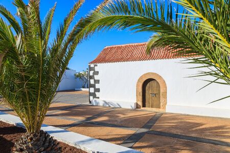 Palm trees and typical Canary style white church building in Tindaya village, Fuerteventura, Canary Islands, Spainの写真素材