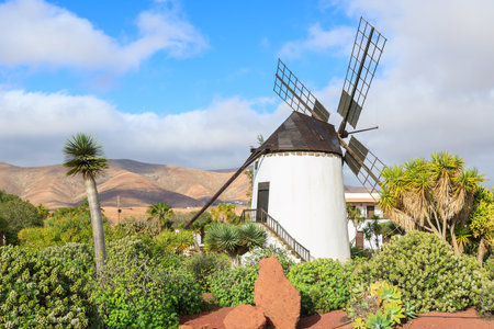 Old windmill in tropical garden in Antigua village, Fuerteventura, Canary Islands, Spainのeditorial素材