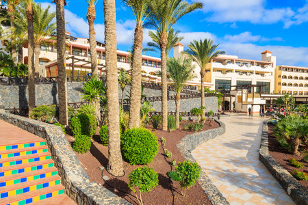 MORRO JABLE, FUERTEVENTURA - FEB 6, 2014: walking alley in tropical gardens of luxury hotel Barcelo Jandia Mar. This is a popular holiday destination for tourists on Fuerteventura island.のeditorial素材