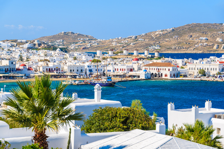 View of Mykonos port with palm tree in foreground, Mykonos island, Greeceの写真素材