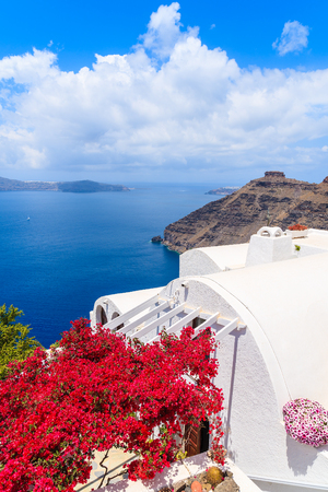 A view of caldera and typical red flowers on terrace of a house in Firostefani village, Santorini island, Greeceの写真素材