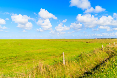 Green farming fields in countryside landscape of Sylt island near Keitum village, Germany