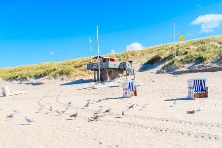 SYLT ISLAND, GERMANY - SEP 11, 2016: seagull birds and lifeguard tower on sandy Kampen beach, Sylt island, Germany.のeditorial素材
