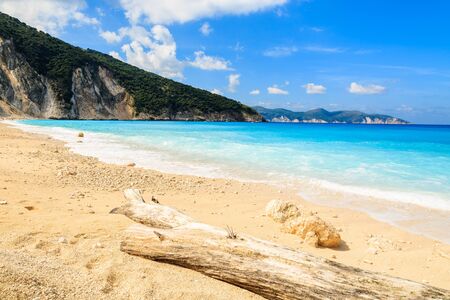 Dry tree trunk on idyllic Myrtos beach, Kefalonia island, Greeceの写真素材