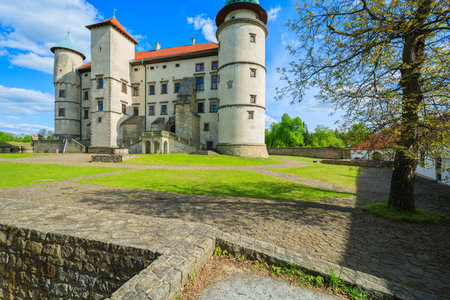 Nowy Wisnicz castle on sunny beautiful day, Polandのeditorial素材