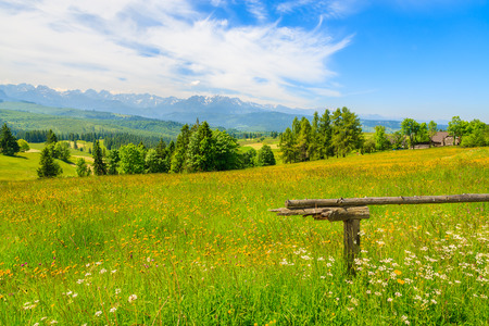 Wooden fence on green meadow with mountains view, Lapszanka, Tatra Mountainsの写真素材