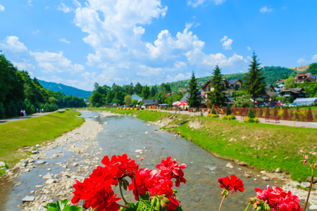 Red flowers in focus with blurred background in Szczawnica village on sunny summer day, Pieniny Mountains, Polandの写真素材