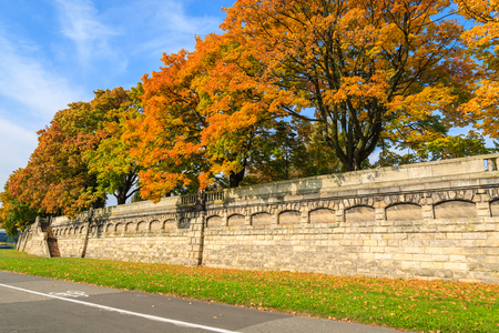 Bike lane along colourful trees in city park of Krakow on sunny autumn day, Polandの写真素材