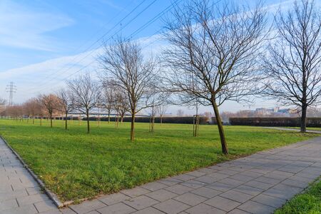Trees in city park of Krakow along Vistula river, Polandの写真素材