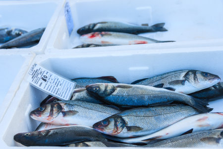 PRIMOSTEN PORT, CROATIA - SEP 5, 2017: Fresh fish in crates for sale in Primosten port, Dalmatia, Croatia.のeditorial素材