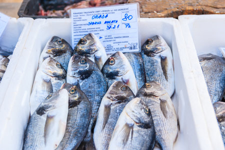 PRIMOSTEN PORT, CROATIA - SEP 5, 2017: Fresh fish in crates for sale in Primosten port, Dalmatia, Croatia.のeditorial素材