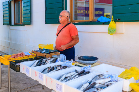 PRIMOSTEN PORT, CROATIA - SEP 6, 2017: Fisherman selling fresh fish in Primosten port, Dalmatia, Croatia.のeditorial素材