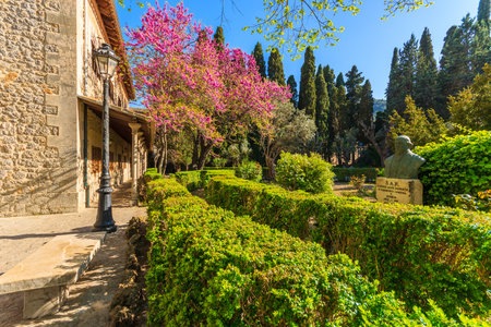 Public park in spring season in Valdemossa town, Majorca islandのeditorial素材
