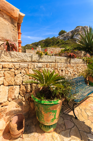 Tropical plants in small village on Majorca island, Spainの写真素材