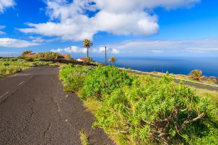 Coastal road with palm trees on La Gomera, Canary Islands, Spainの写真素材