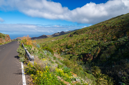 Palm trees and tropical landscape of La Gomera island, Las Hayas village, Canary Islands, Spainの写真素材