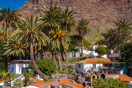 White traditional houses in Canary style palm trees, La Gomera island, Spainの写真素材
