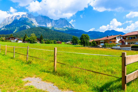 Green pasture for horses in Going am Wilden Kaiser village on beautiful sunny summer day, Tirol, Austriaのeditorial素材