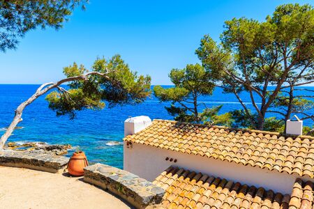 Terrace with flowerpot and typical Spanish houses with sea in background near Llarfanc town, Costa...