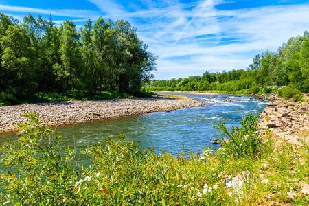Flowers on bank of Dunajec river with green hills in distance on sunny summer day near Nowy Targ,...