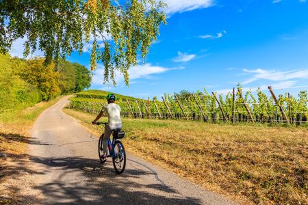 Young woman cyclist riding along Alsatian Wine Route near Riquewihr village, Franceの写真素材