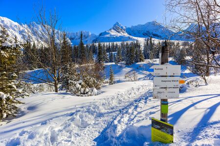 Signpost with walking and ski trails directions and times to reach destination in beautiful Gasienicowa valley in winter season, Tatra Mountains, Polandの写真素材