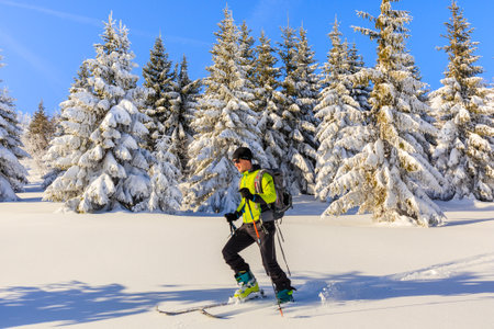 GASIENICOWA VALLEY, TATRA MOUNTAINS - FEB 8, 2020: Skier walking in fresh snow in Gasienicowa valley, Tatra Mountains, Poland.のeditorial素材