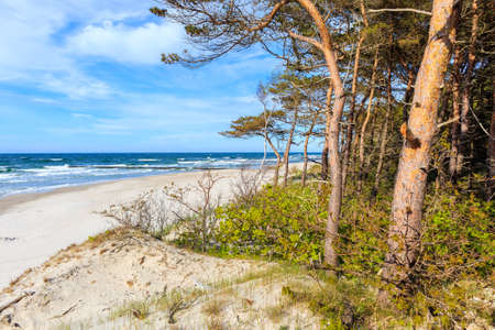 Beautiful white sand beach and blue sea near Kolobrzeg, Baltic Sea coast, Polandの写真素材