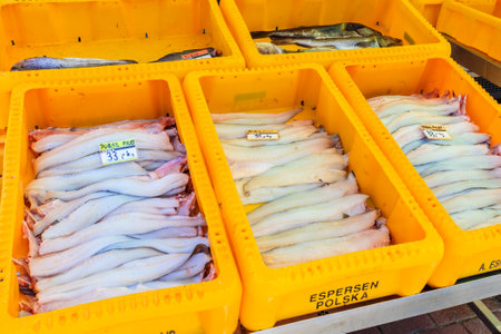 CHLOPY PORT, POLAND - JUN 1, 2020: Crates with fresh fish for sale in local shot in Chlopy port at...