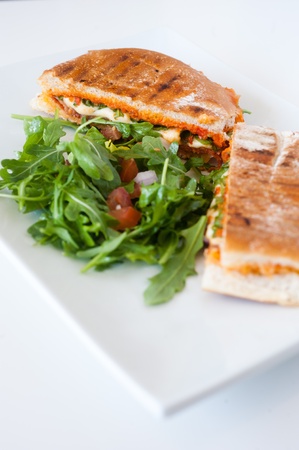 italian ciabatta panini sandwich with chicken and tomato on a white plateの写真素材